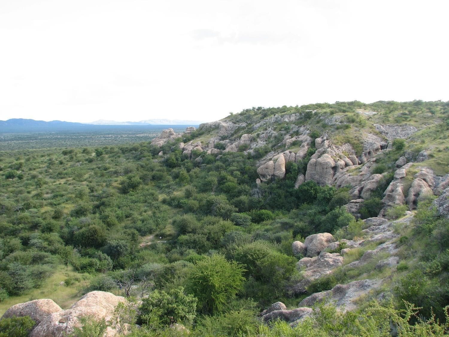 Un paisaje montañoso con vegetación verde densa y grandes rocas.