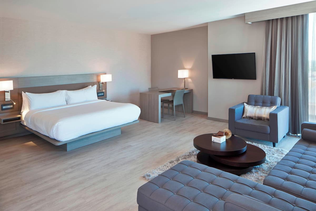 Una habitación de hotel con cama, escritorio, televisión y zonas de estar.