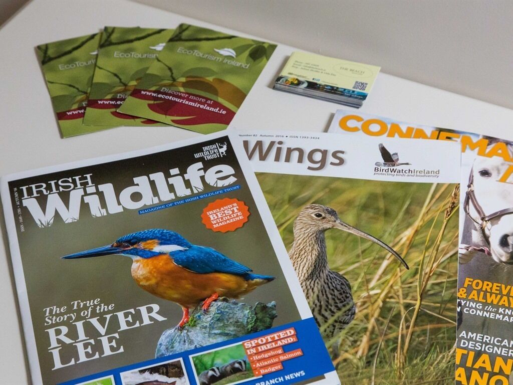 A collection of magazines and brochures, including 'Irish Wildlife' and 'Wings'.