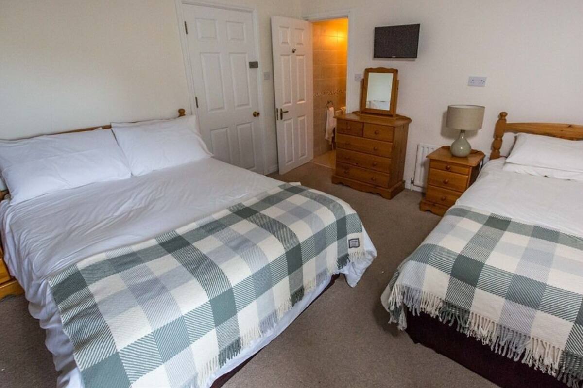 A bedroom with two beds, a dresser, a television, and a lamp.