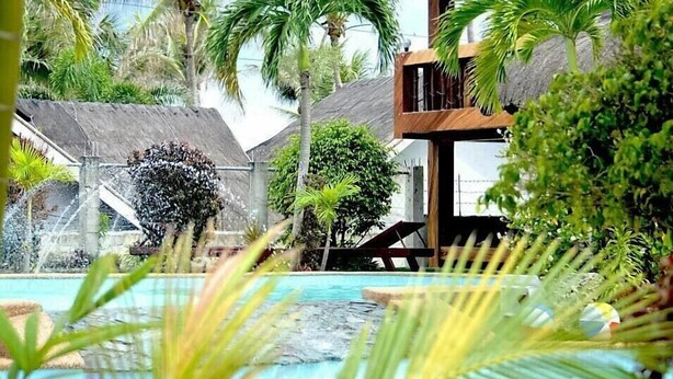 Un área de piscina con palmeras y una estructura de madera.