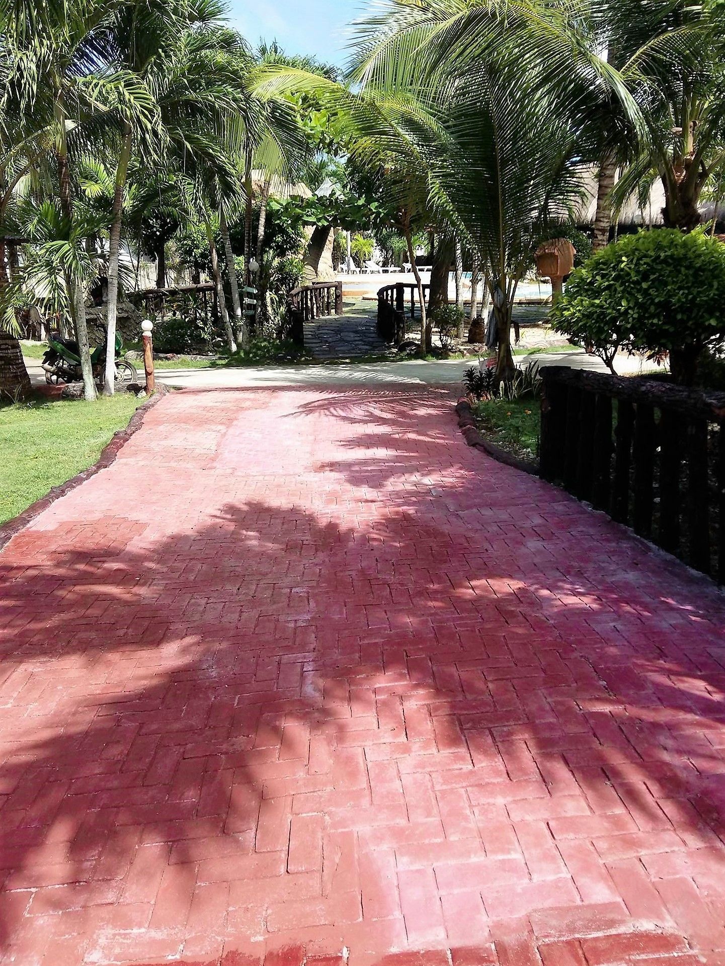 A paved pathway lined with palm trees and a stone bridge.