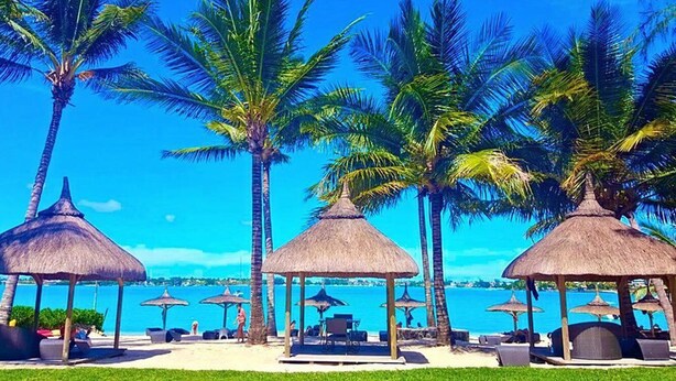 A beachside resort with thatched umbrellas, palm trees, and lounge chairs by the water. - Ocean Villas Apart Hotel (Grand-Baie)