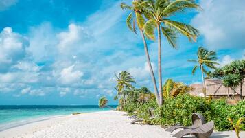 Una playa de arena blanca, palmeras y un edificio con techo de paja.