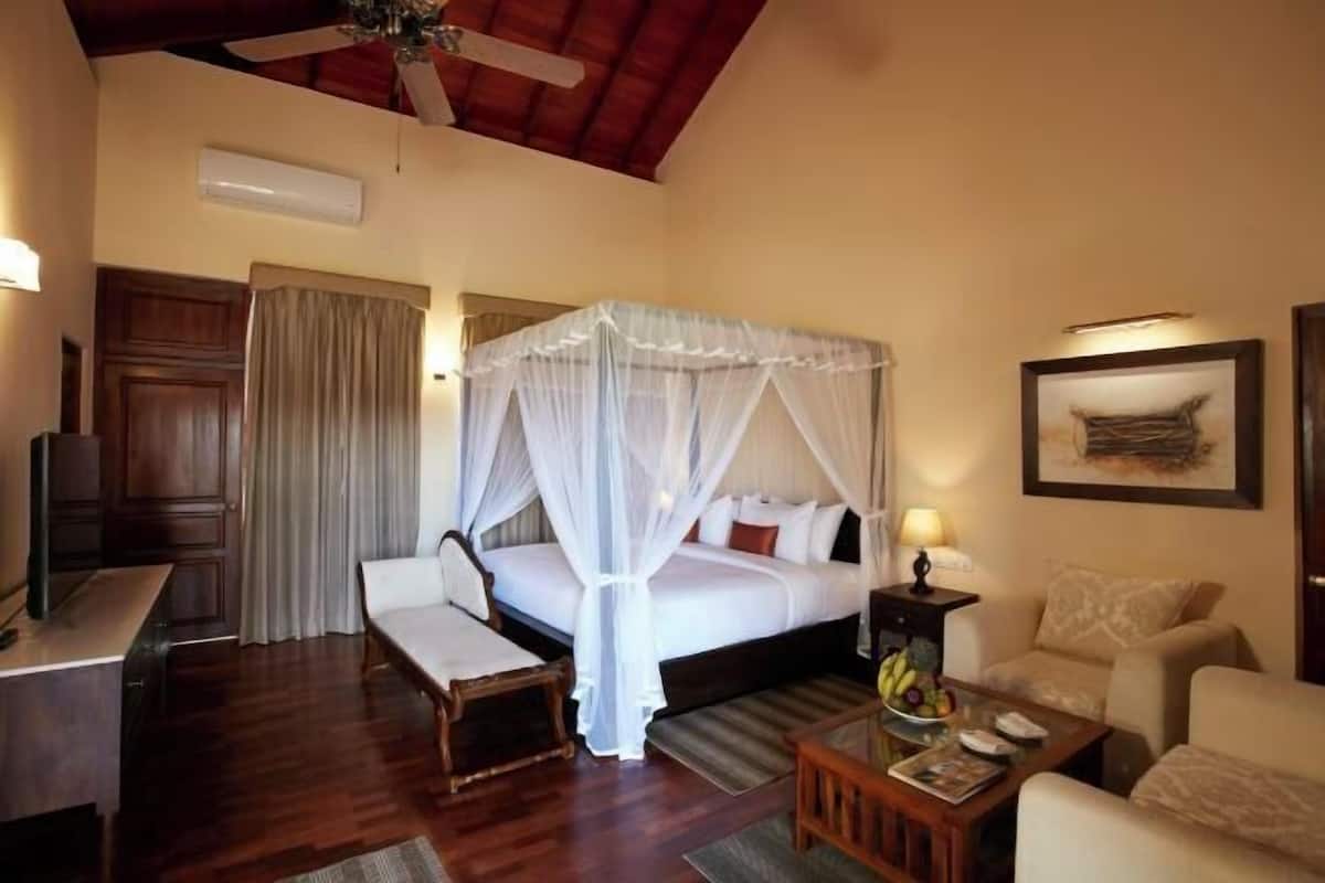 Premium bedding, minibar, in-room safe, desk
