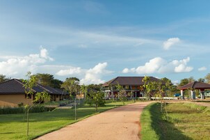 Zona residencial con camino de tierra, casas con techos de tejas y pequeños árboles.