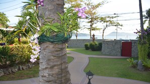 A landscaped garden with a palm tree, a pathway, and a stone wall. - Kalim Residence Unit - 215 (Patong)