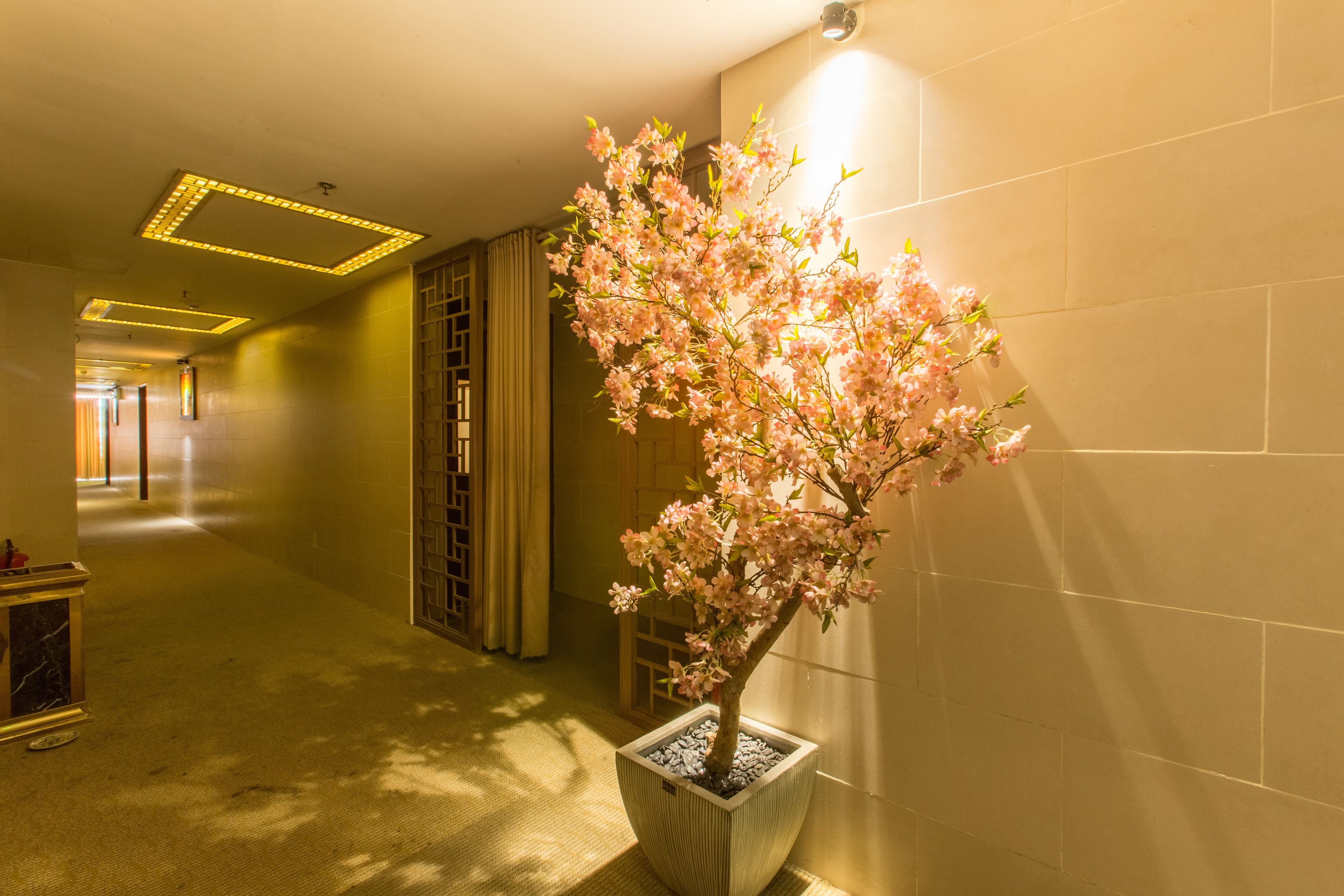 Photo - Minh Tam Hotel and Spa