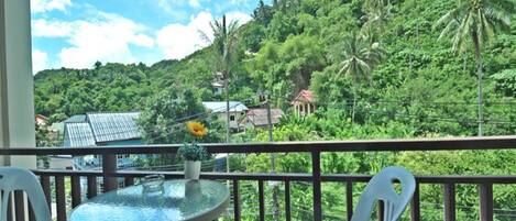 Vista desde la propiedad