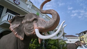 Une grande statue d’éléphant se trouve devant un immeuble doté de balcons et d’une enseigne.