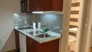 A compact kitchen with wooden cabinets, a stainless steel sink, and a dishwasher. - Apartamentos Leon (León)