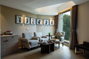 Plasma TV, fireplace