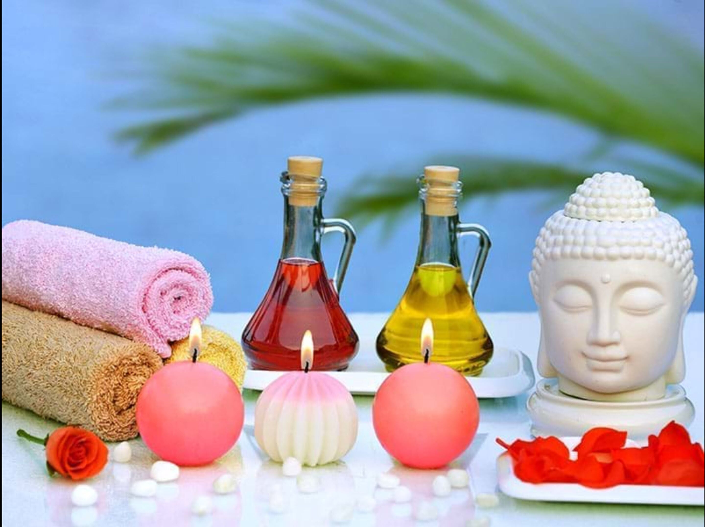 steam room, 2 treatment rooms, massages