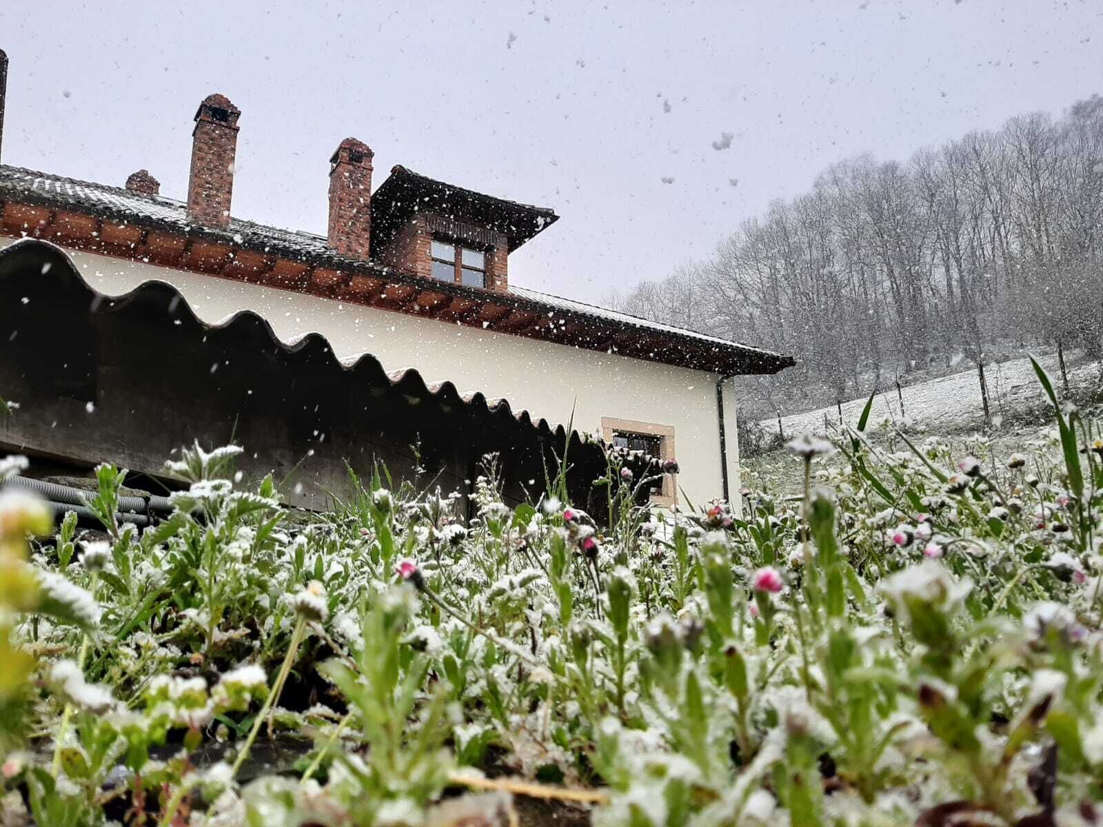 Photo - Hotel Rural El Rexacu