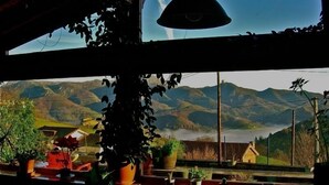 A room with a view of mountains and a lake. There are potted plants on the windowsill. - El Rexacu (Onis)