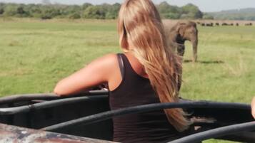 En person i ett fordon med utsikt över en elefant på ett fält.