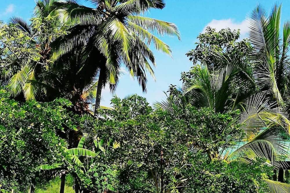 Rajarata Family Resort