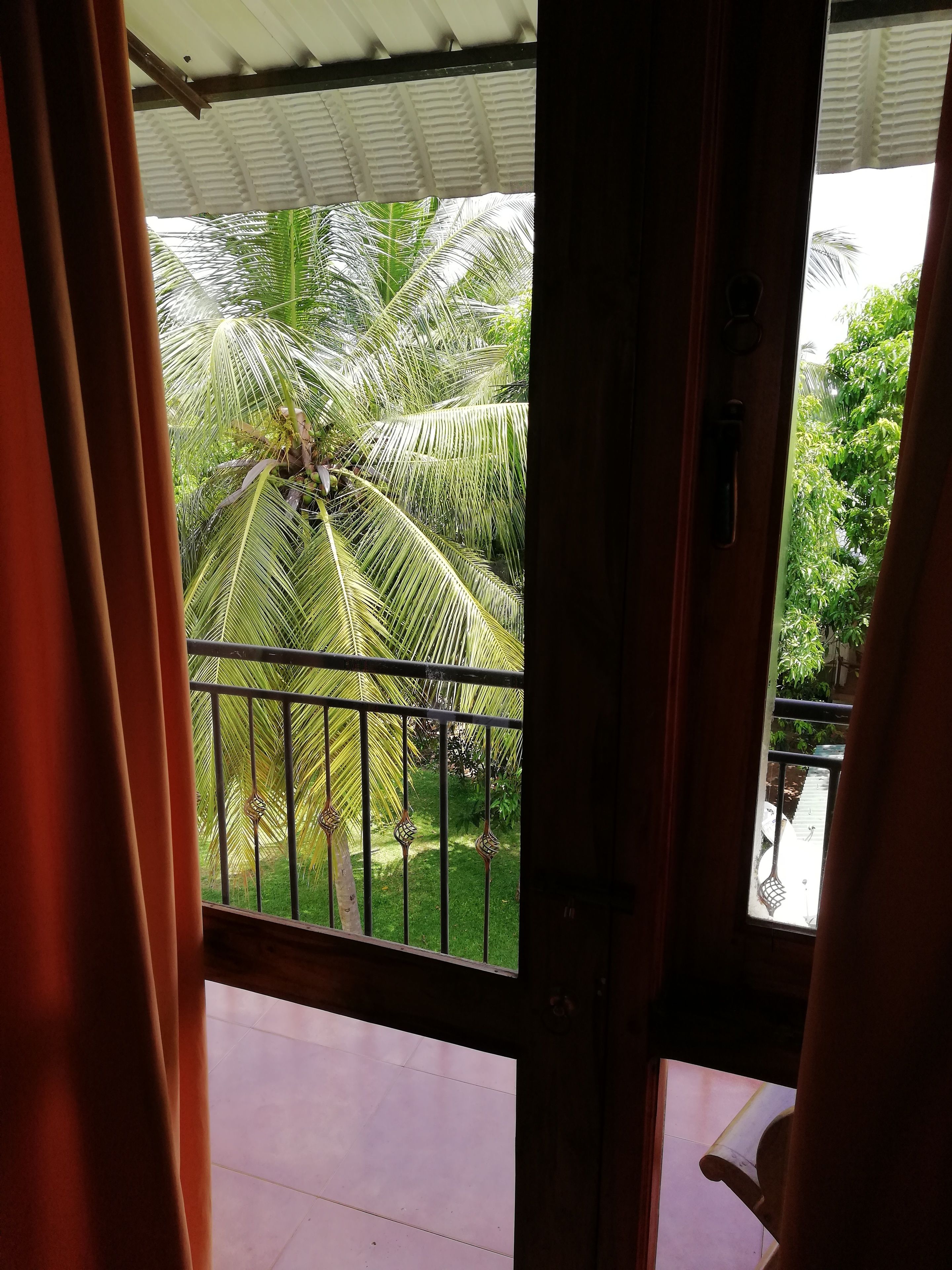 Vista a través de una ventana con baranda metálica, mostrando una palmera y follaje verde.