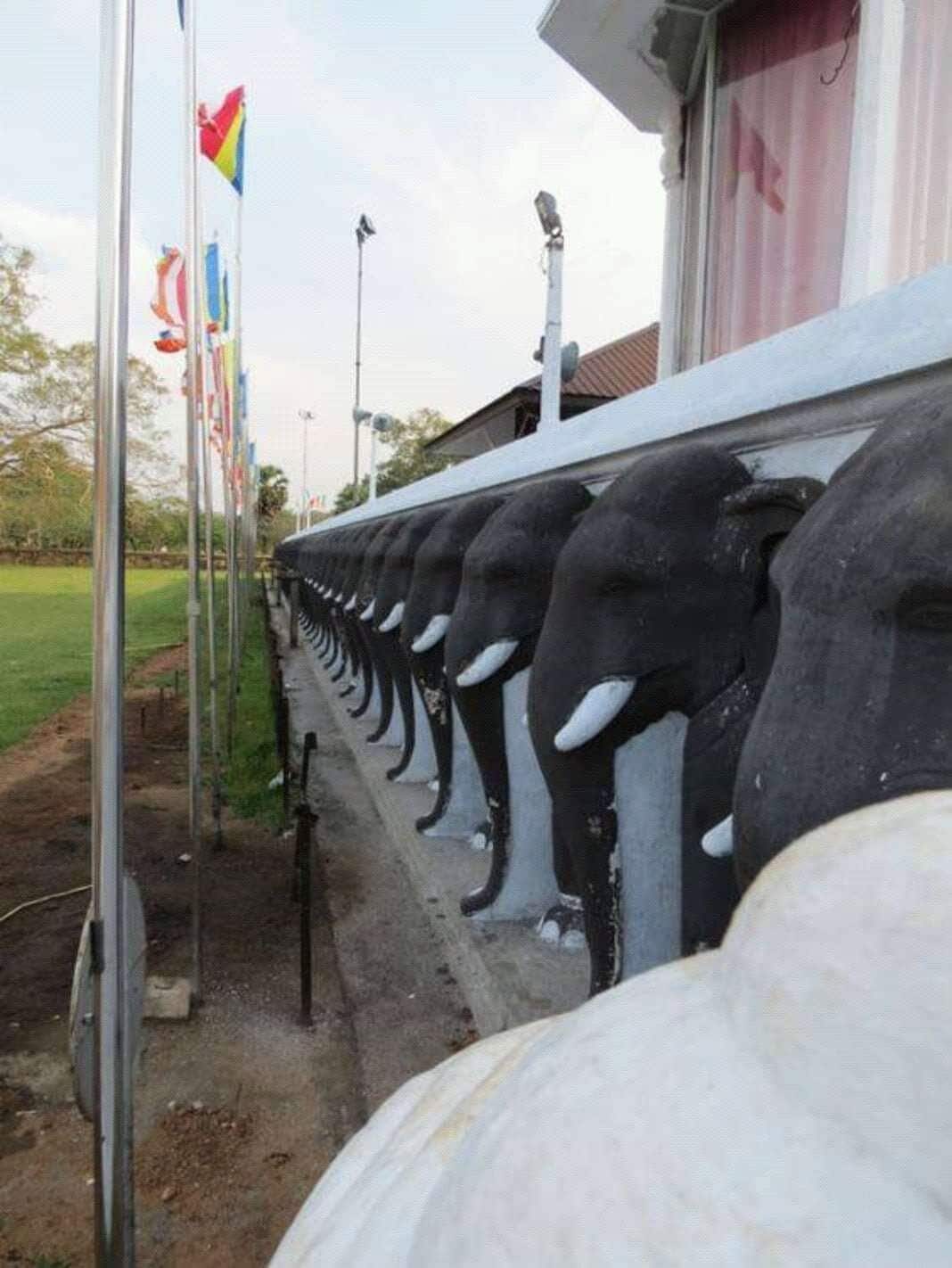 A row of black and white sculptures of elephant heads, likely part of an outdoor art installation.