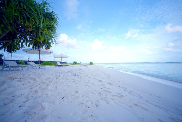 근처 전용 해변, 무료 해변 셔틀, 스쿠버다이빙