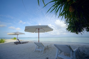 Private beach nearby, free beach shuttle, scuba diving