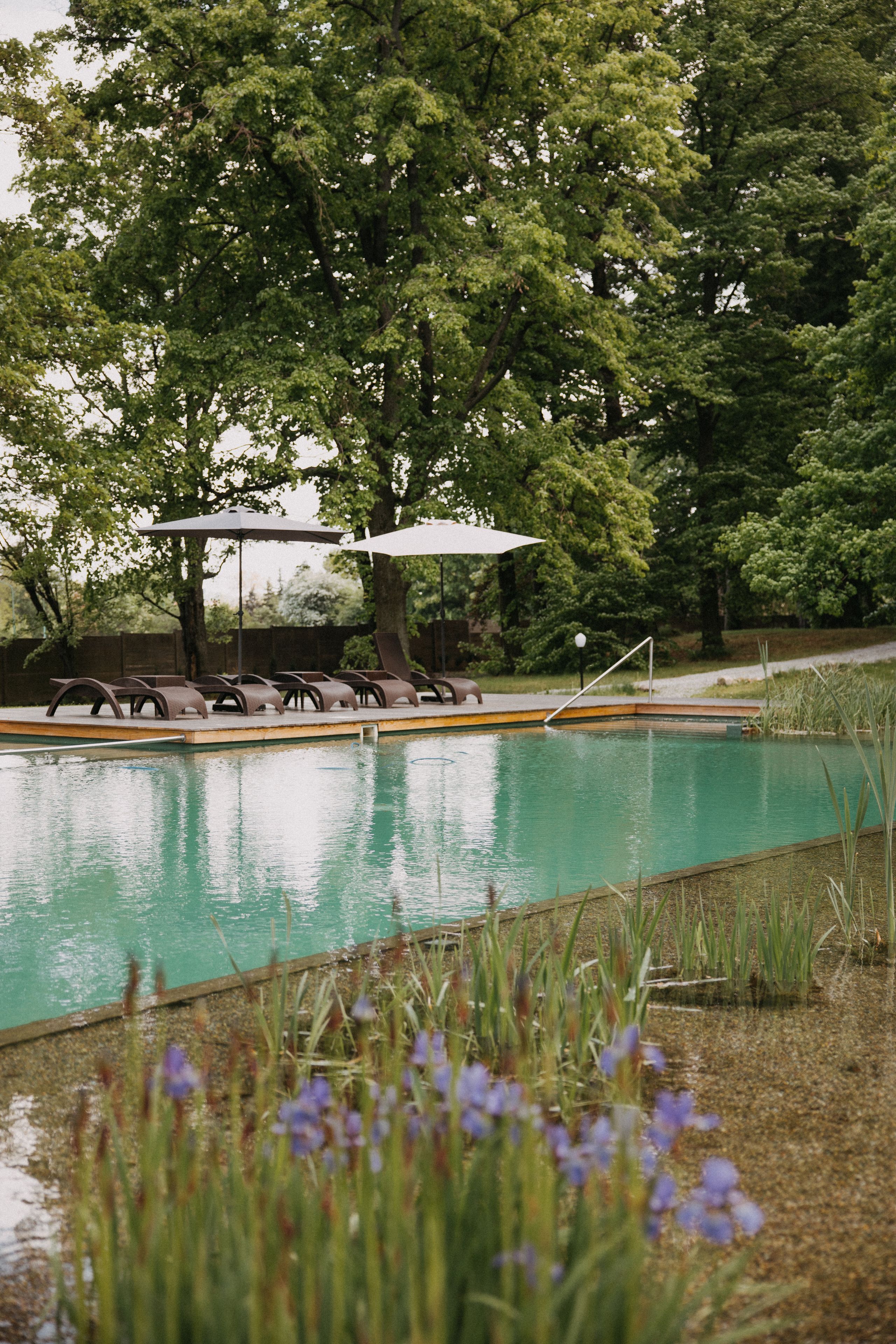 Piscina con sillas de descanso y sombrillas, rodeada de árboles y césped.