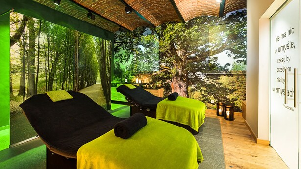 A spa room with two massage tables, a brick ceiling, and a view of trees through large windows.
