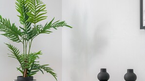A minimalist room with a potted plant, two vases, and a white cabinet.