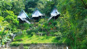 A hillside with three treehouse-style cabins, each with a balcony and stairs leading to the entrance. - Orchid Villa Kandy (Kandy)