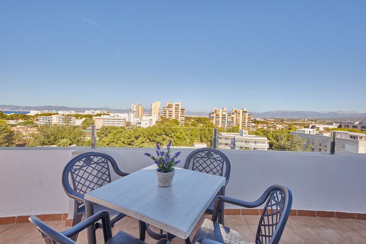 Terrassa amb taula i cadires, una planta en test i vista d'un paisatge urbà amb edificis i muntanyes a la distància.