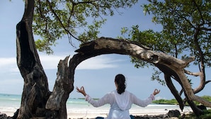 Une personne médite sous un grand arbre sur une plage, avec l’océan en arrière-plan.