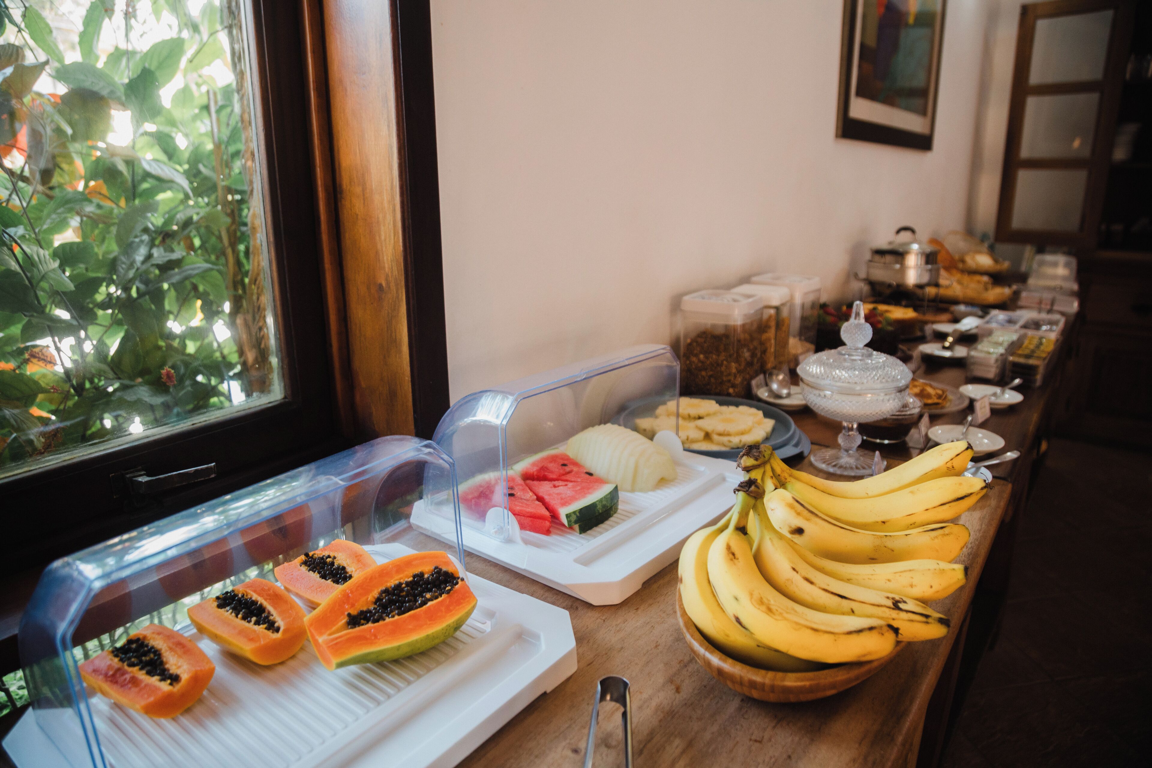 A buffet with various fruits and dishes, including papaya, watermelon, and bananas, with a window view of greenery.