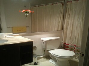 Apartment, 2 Bedrooms, Beach View | Bathroom