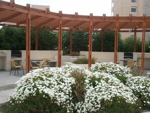 Exterior - Departamento La Serena Sinbad (La Serena)