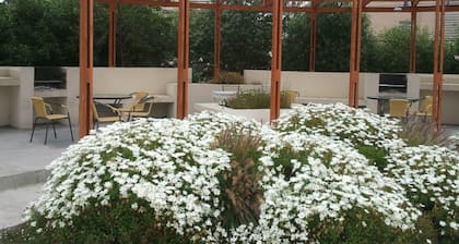 Departamento La Serena Sinbad