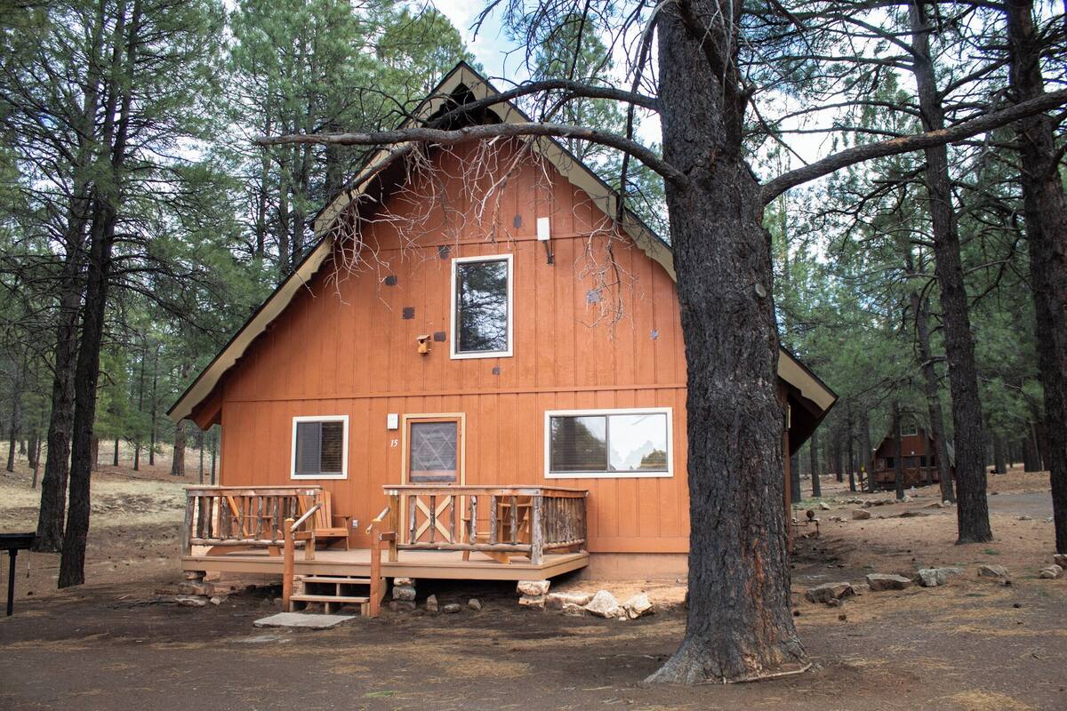 A wooden cabin with a porch, surrounded by trees.