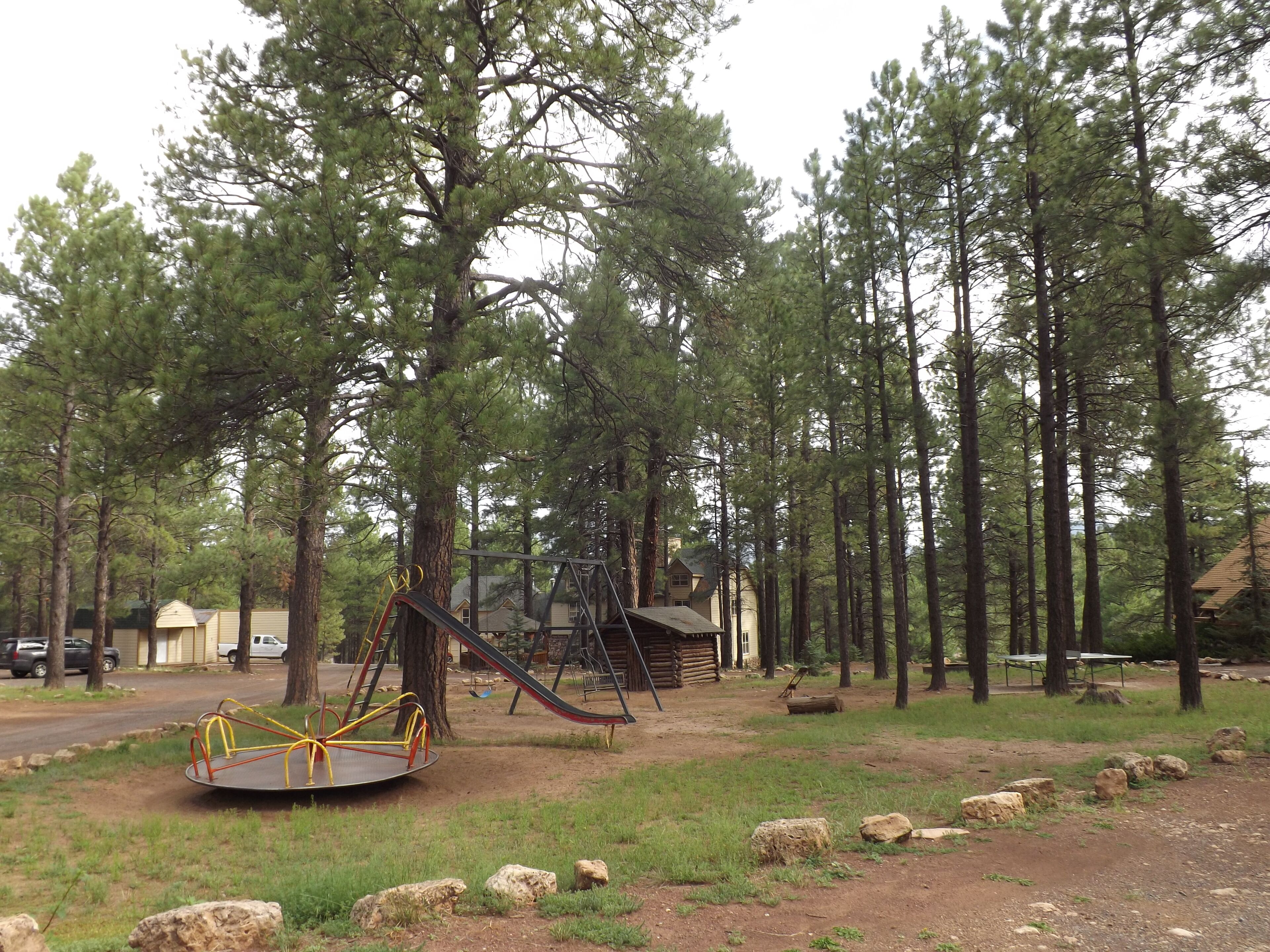A playground with swings and slides surrounded by tall pine trees.