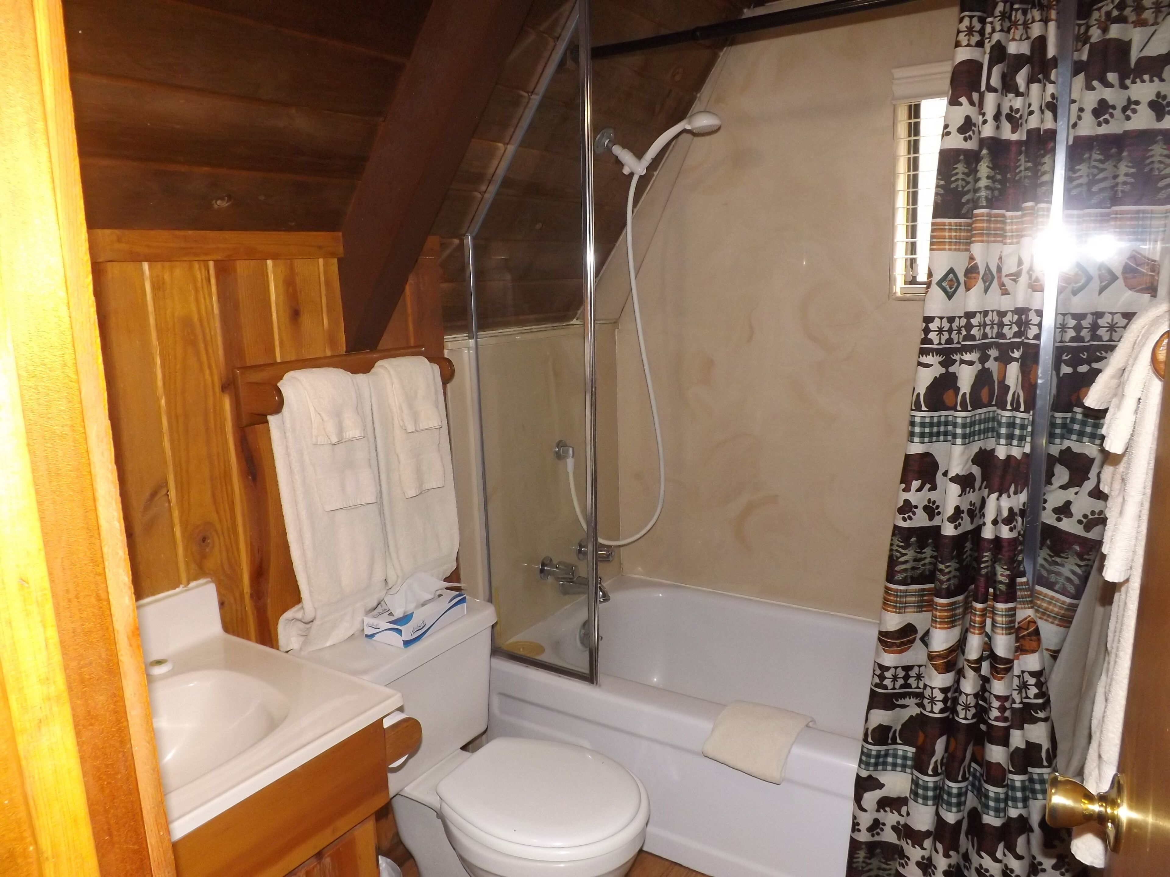 Une salle de bain avec douche, toilettes et lavabo.