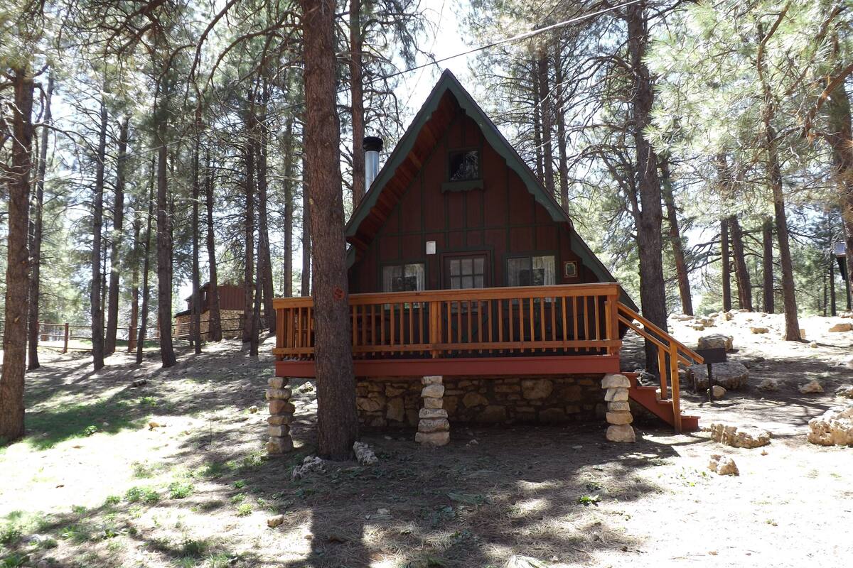 A cabin with a wooden deck and stone foundation, surrounded by tall pine trees.