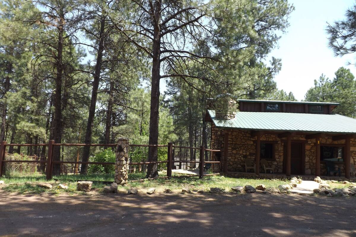 A rustic stone cabin with a metal roof, surrounded by tall pine trees.