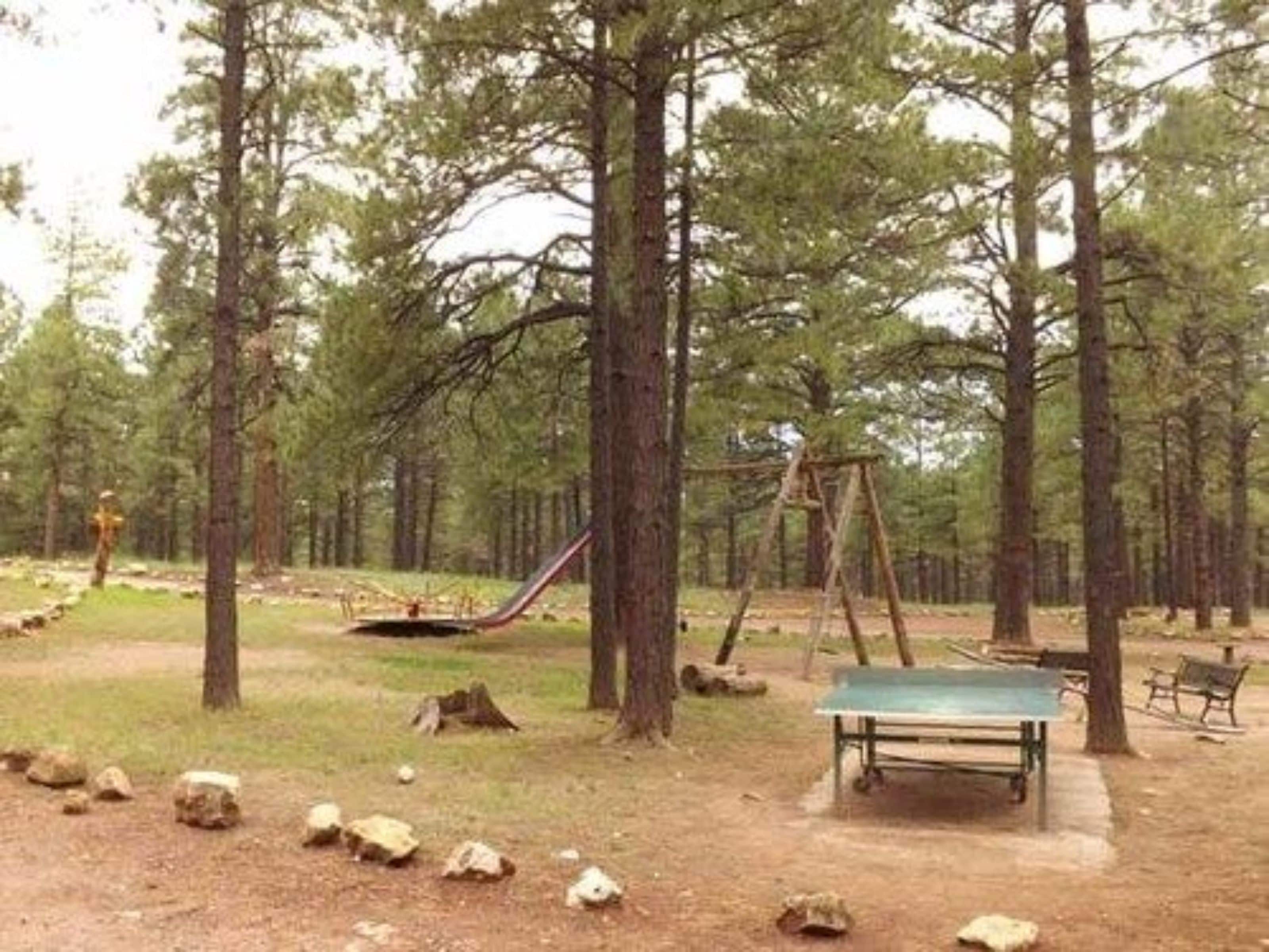 A forested area with a swing set, a table, and scattered rocks.