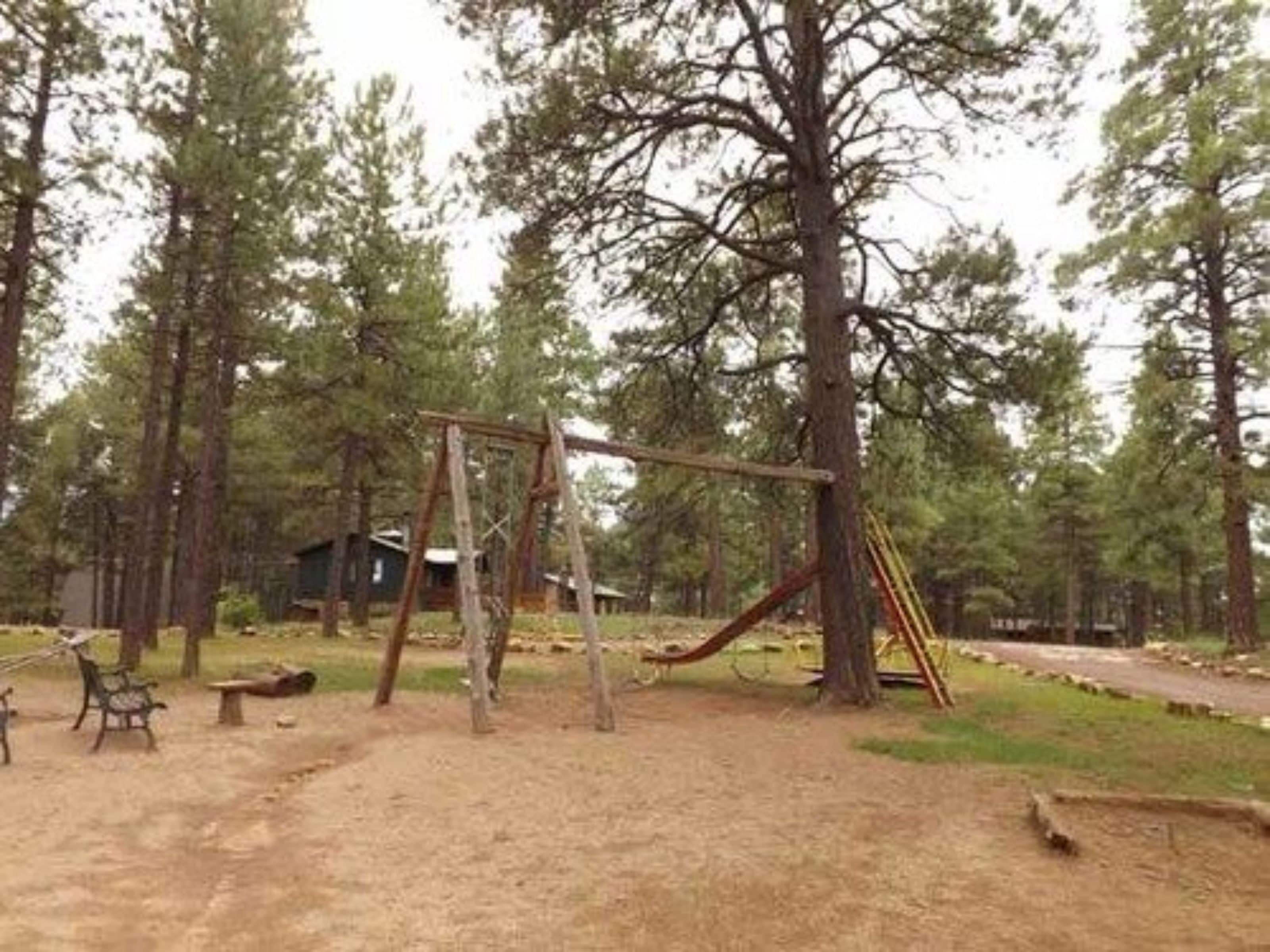 A playground with a swing set and a slide, surrounded by tall trees.