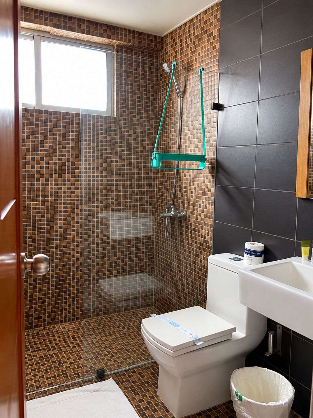 Une salle de bain avec douche, toilettes et lavabo.