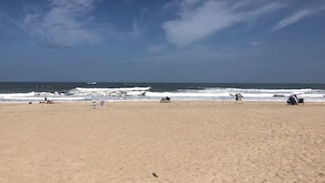 On the beach, white sand, beach towels, beach bar