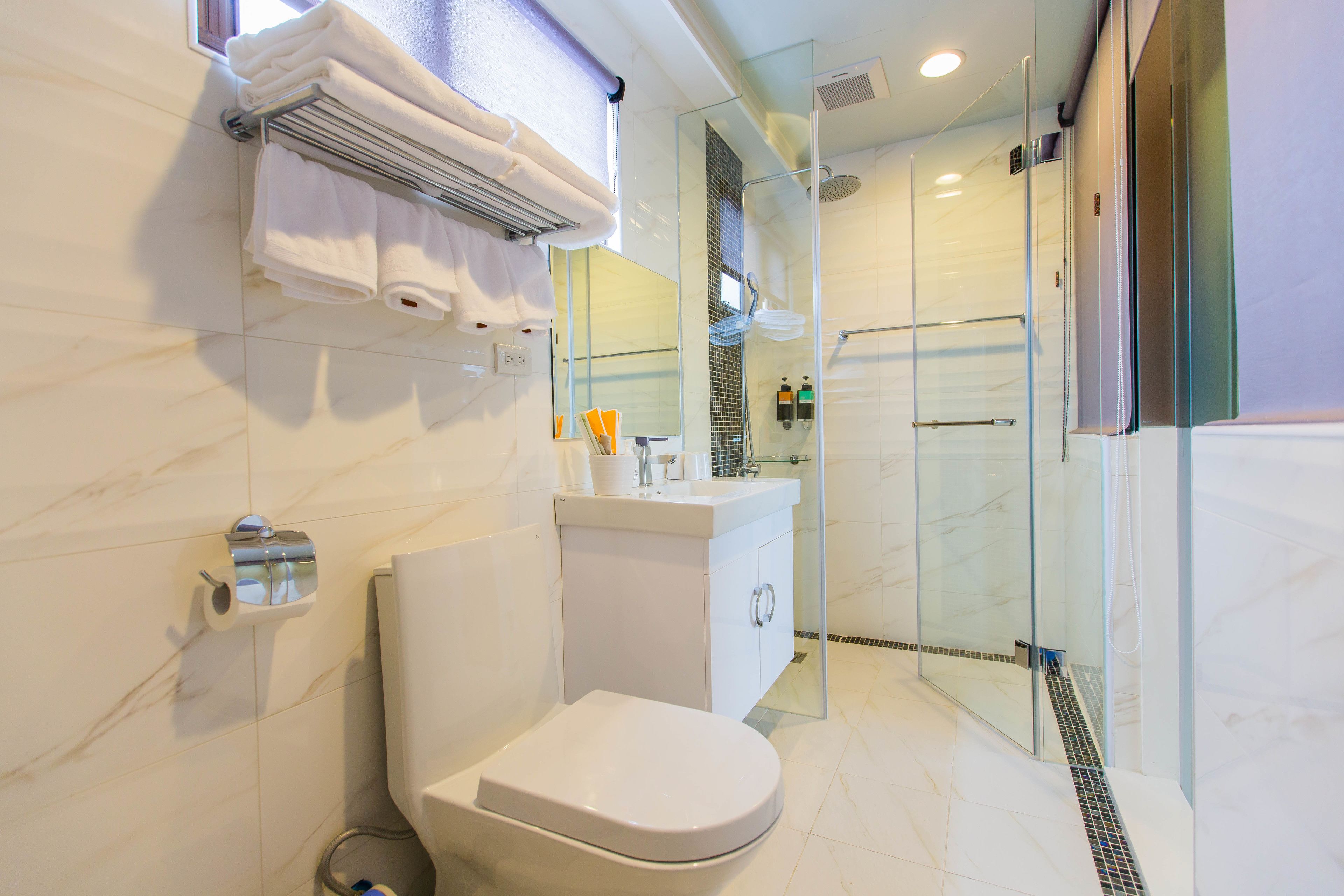 A modern bathroom with a toilet, a glass shower enclosure, and a vanity with a mirror.
