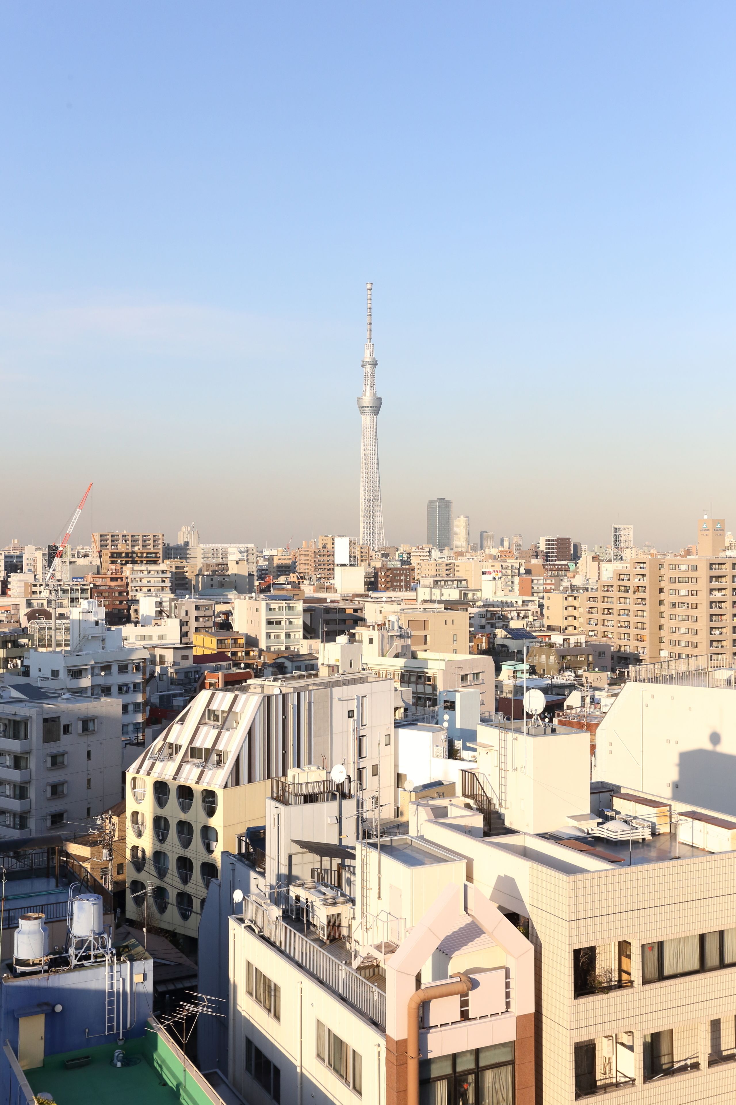 Foto - Oak Hotel Edo