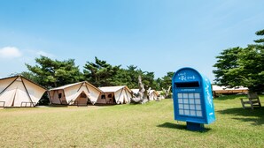 Luxury Tent | WiFi (free)