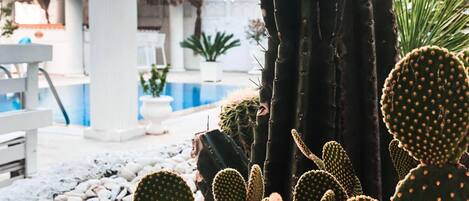 Outdoor pool, pool umbrellas, sun loungers