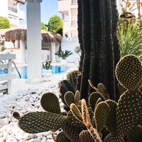 Outdoor pool, pool umbrellas, pool loungers