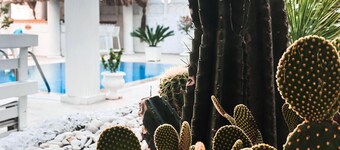 Conny's Boutique Hotel - Adults Only
